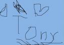love tony